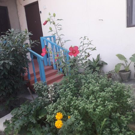 Guesthouse Zeinabi Tbiliszi Kültér fotó